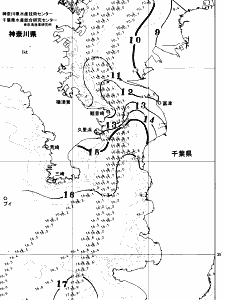 東京湾口海況図(2026/02/08)
