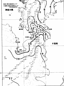 東京湾口海況図(2026/02/09)