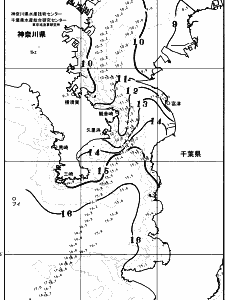 東京湾口海況図(2026/02/12)