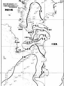東京湾口海況図(2026/02/13)