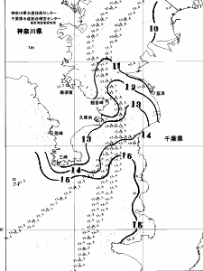 東京湾口海況図(2026/02/19)