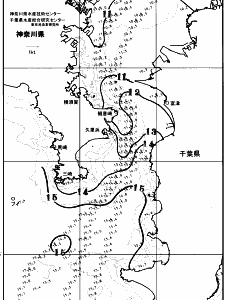 東京湾口海況図(2026/02/22)