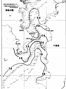 東京湾口海況図(2026/03/08)