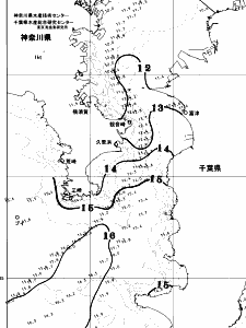 東京湾口海況図(2026/03/09)