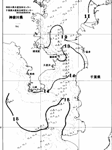 東京湾口海況図(2026/03/11)