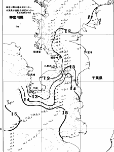 東京湾口海況図(2026/03/14)