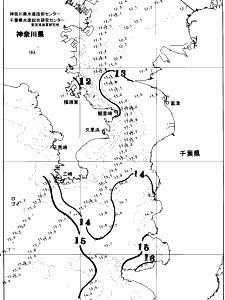 東京湾口海況図(2026/03/19)