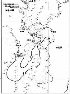 東京湾口海況図(2026/04/23)