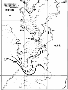 東京湾口海況図(2026/04/28)