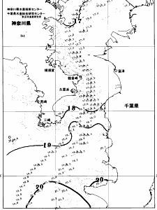 東京湾口海況図(2026/04/29)