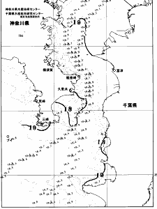 東京湾口海況図(2026/05/23)