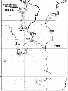 東京湾口海況図(2026/06/04)