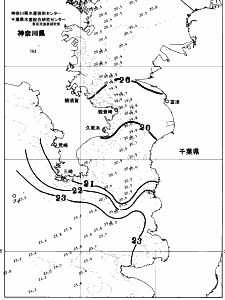 東京湾口海況図(2026/06/08)