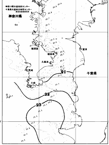 東京湾口海況図(2026/06/09)