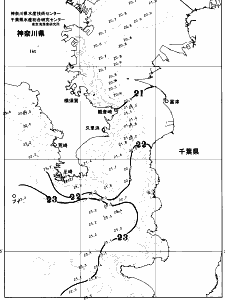 東京湾口海況図(2026/06/11)
