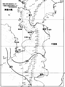 東京湾口海況図(2026/06/12)