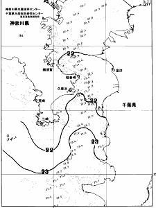東京湾口海況図(2026/06/21)