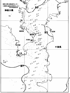 東京湾口海況図(2026/06/22)