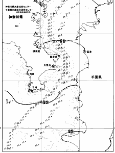 東京湾口海況図(2026/07/05)