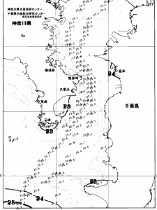 東京湾口海況図(2026/07/06)