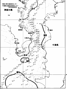 東京湾口海況図(2026/07/11)
