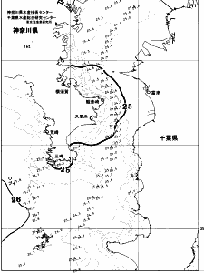 東京湾口海況図(2026/07/15)