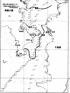 東京湾口海況図(2026/07/16)