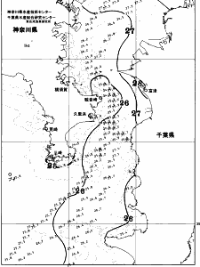 東京湾口海況図(2026/07/21)
