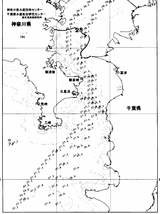 東京湾口海況図(2026/07/28)