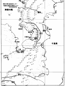 東京湾口海況図(2026/07/31)