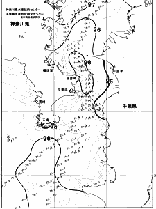 東京湾口海況図(2026/08/04)