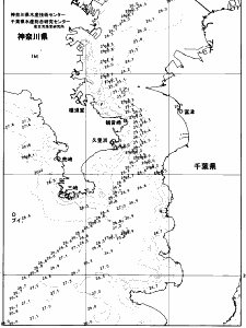 東京湾口海況図(2026/08/13)