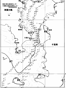 東京湾口海況図(2026/08/21)