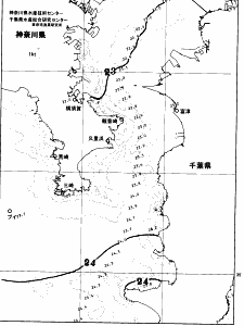 東京湾口海況図(2026/10/01)