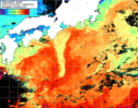 NOAA人工衛星画像:黒潮域, 1日合成画像(2025/04/08UTC)
