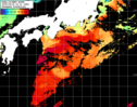 NOAA人工衛星画像:黒潮域, パス=20250429 02:21 UTC