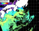 NOAA人工衛星画像:黒潮域, パス=20250502 11:04 UTC