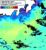 NOAA人工衛星画像:神奈川県近海, 1日合成画像(2025/05/03UTC)