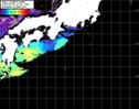 NOAA人工衛星画像:黒潮域, パス=20250504 02:58 UTC
