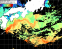 NOAA人工衛星画像:黒潮域, 1日合成画像(2025/06/01UTC)