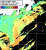 NOAA人工衛星画像:神奈川県近海, パス=20250604 11:09 UTC