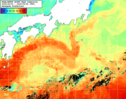 NOAA人工衛星画像:黒潮域, 1週間合成画像(2025/06/02～2025/06/08UTC)