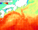 NOAA人工衛星画像:黒潮域, 1週間合成画像(2025/06/04～2025/06/10UTC)