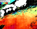 NOAA人工衛星画像:黒潮域, 1日合成画像(2025/06/11UTC)
