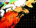 NOAA人工衛星画像:黒潮域, 1日合成画像(2025/06/17UTC)