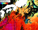 NOAA人工衛星画像:黒潮域, 1日合成画像(2025/06/20UTC)