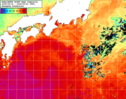 NOAA人工衛星画像:黒潮域, 1週間合成画像(2025/06/14～2025/06/20UTC)
