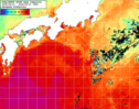NOAA人工衛星画像:黒潮域, 1週間合成画像(2025/06/15～2025/06/21UTC)