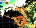 NOAA人工衛星画像:黒潮域, 1日合成画像(2025/07/10UTC)