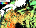 NOAA人工衛星画像:黒潮域, 1日合成画像(2025/07/19UTC)